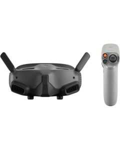 DJI Goggles 2 Motion Combo Display Demo
