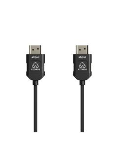 Atomos Full HDMI 4K60p 45cm